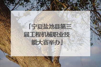 宁夏盐池县第三届工程机械职业技能大赛举办